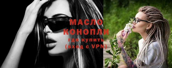 индика Медногорск
