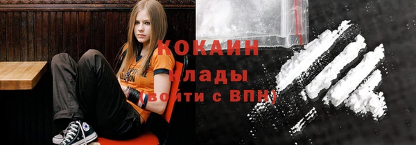 индика Медногорск
