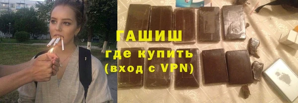индика Медногорск