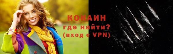 индика Медногорск