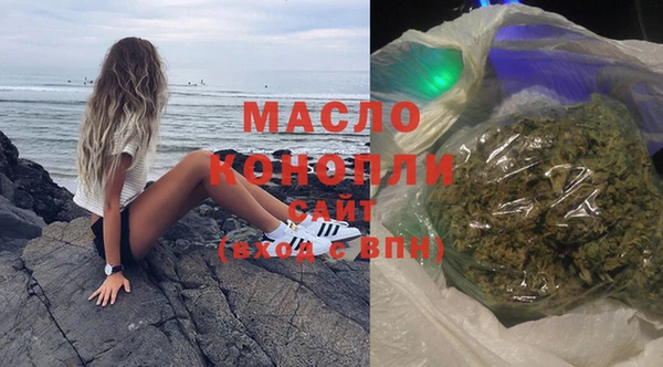 индика Медногорск