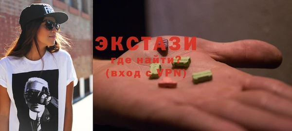индика Медногорск