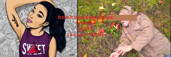 индика Медногорск