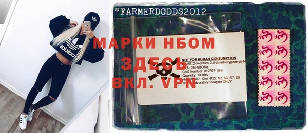 индика Медногорск