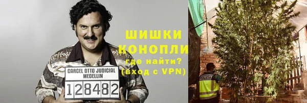 индика Медногорск